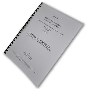 Democracy Subverted: A Case Study of a Local Government System